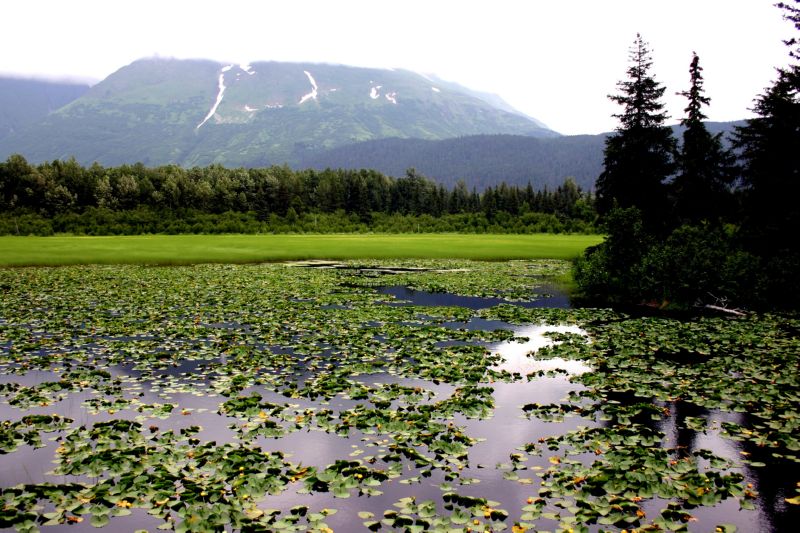 070304 Hope Seward Hope (10107)